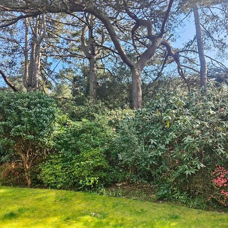 Peaceful Getaway In Forested Park Bournemouth Eksteriør bilde