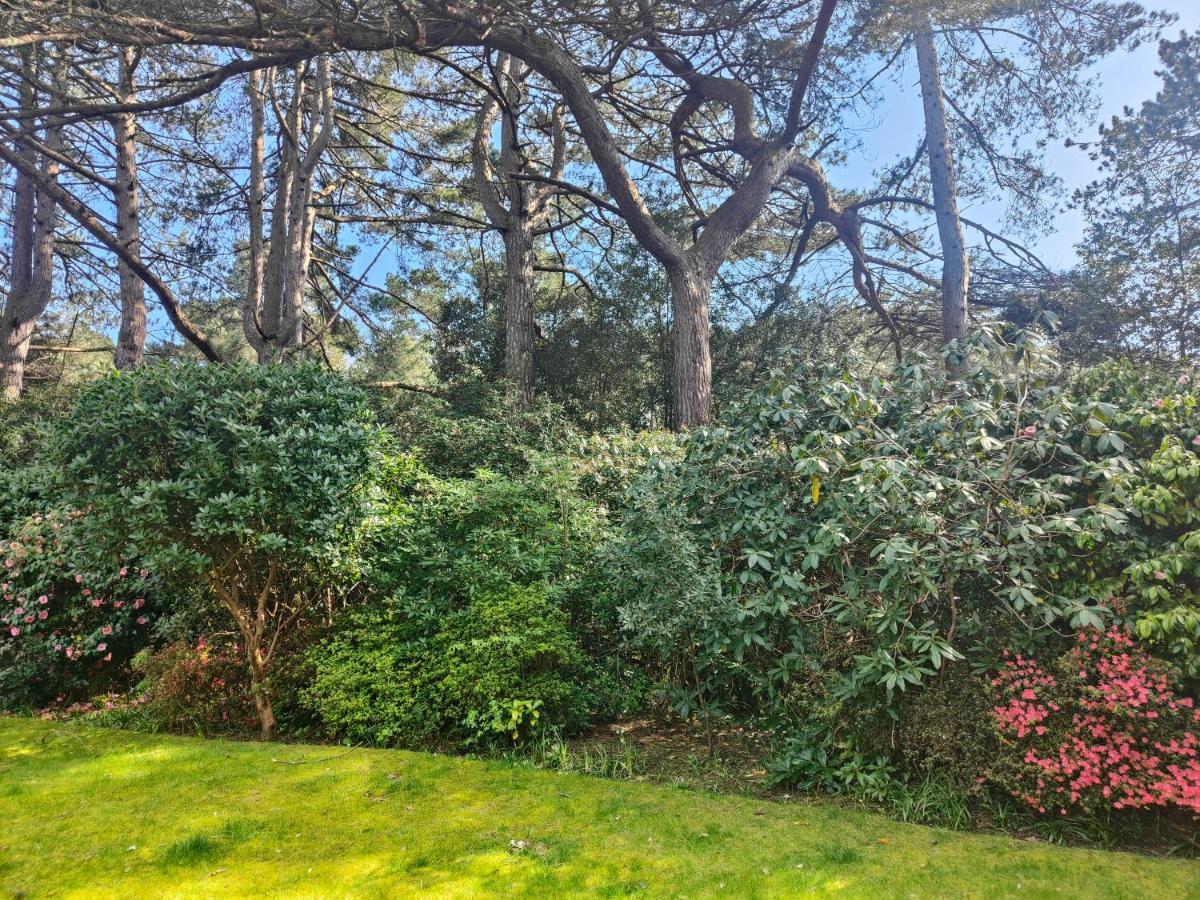 Peaceful Getaway In Forested Park Bournemouth Eksteriør bilde